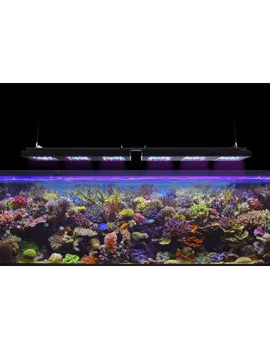 Reef Factory Reef flare Pro